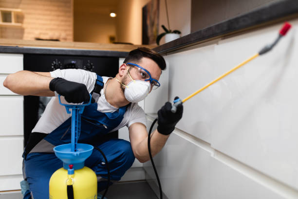 Wasp Removal Services in Mandan, ND