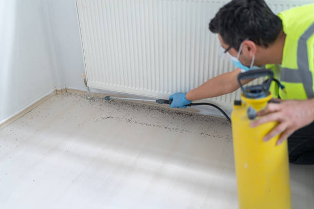 Pest Control for Restaurants in Mandan, ND