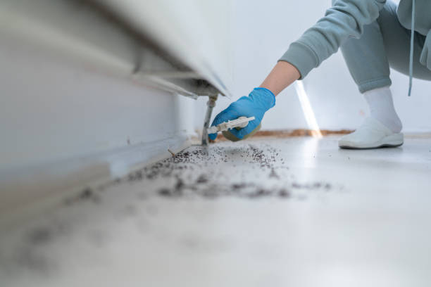 Best Wildlife Control Services  in Maan, ND